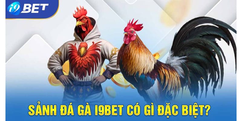 GIới thiệu sảnh đá gà tại i9bet