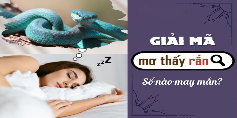 Giải mã giấc mơ nằm mơ thấy rắn đánh số gì